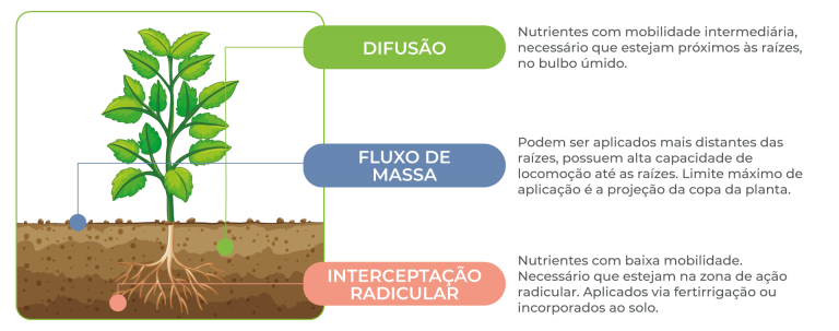 Absor O De Nutrientes Sqm Vitas