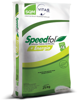 Speedfol + Energia