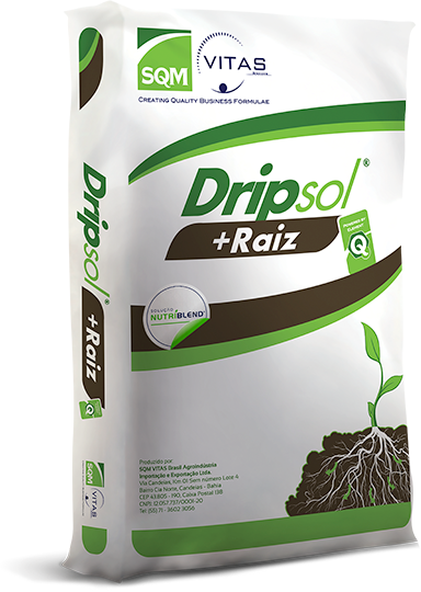 Dripsol + Raiz