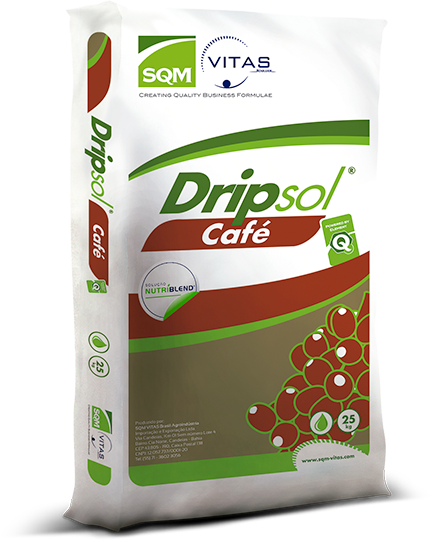 Dripsol Café