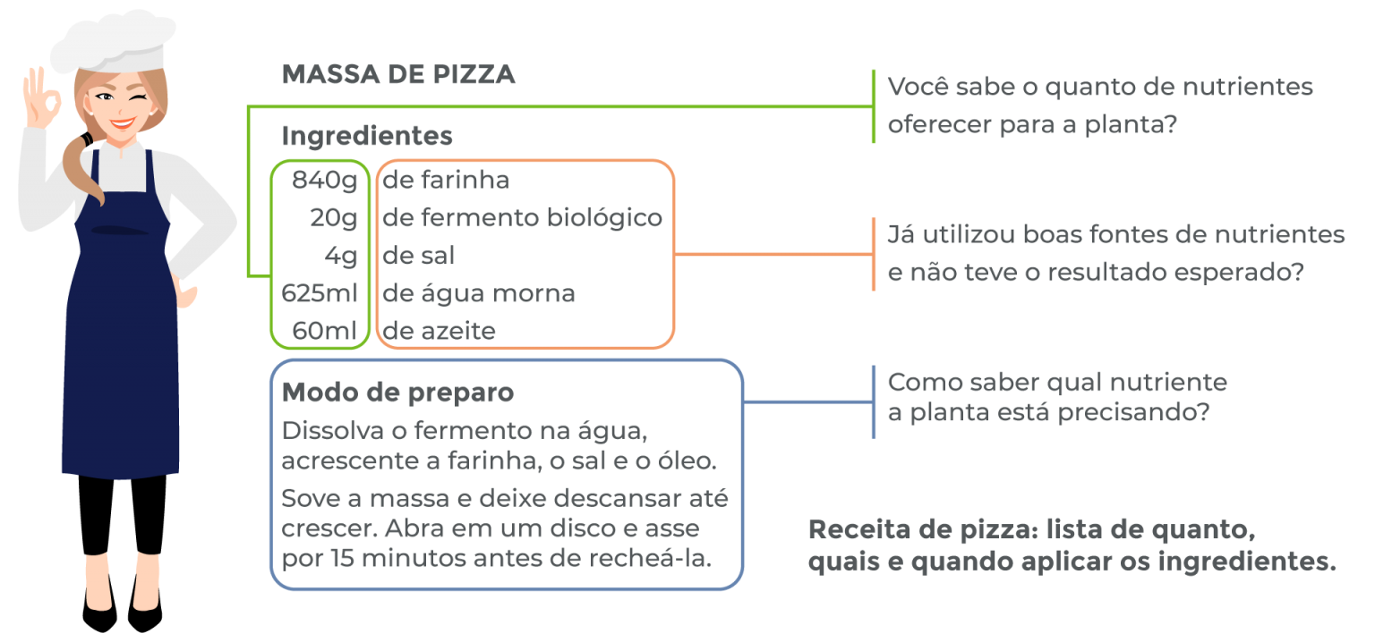 Curva De Absor O Sqm Vitas