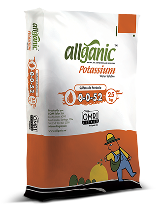 Allganic Potassium