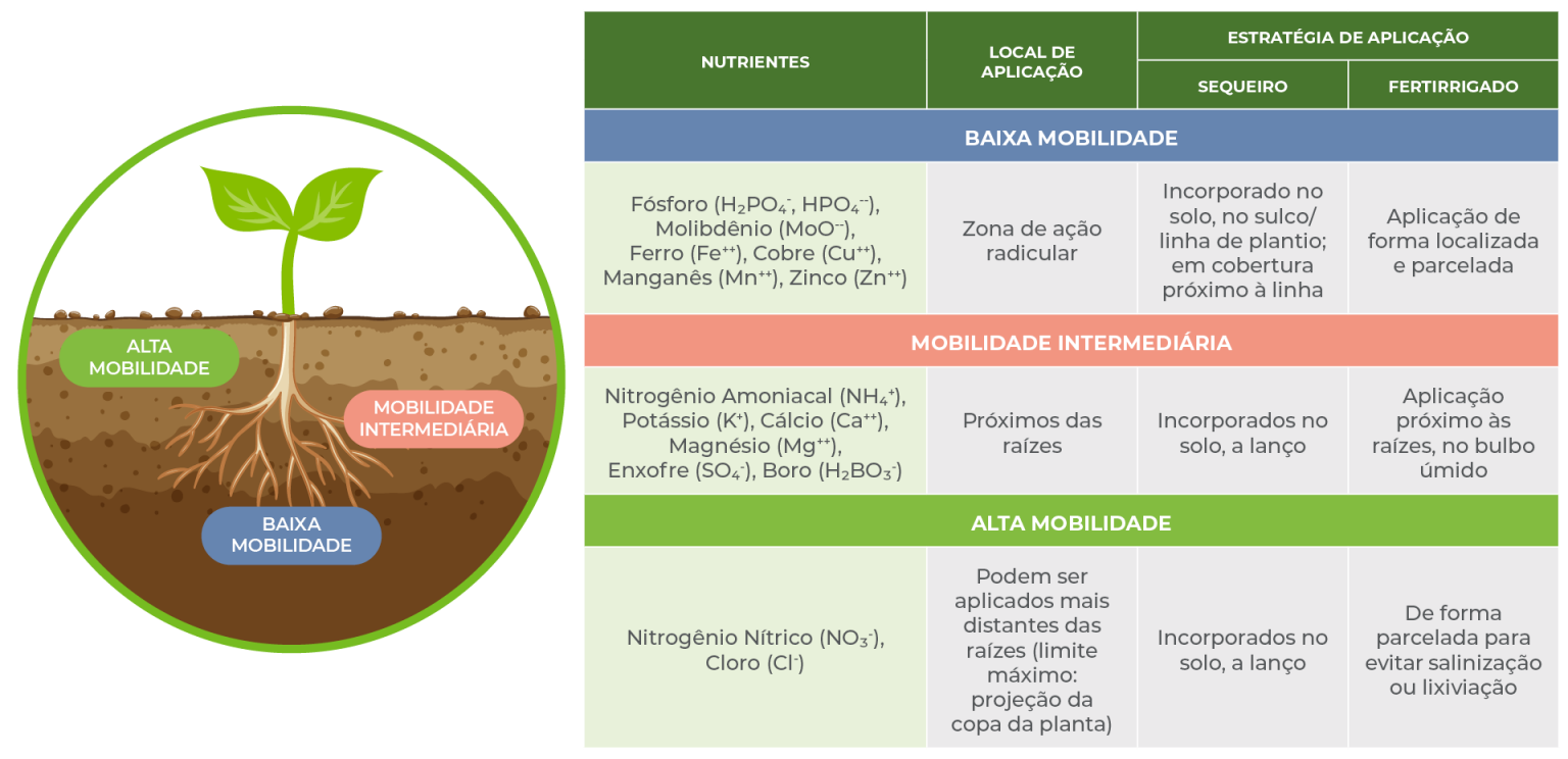 Mobilidade Dos Nutrientes Sqm Vitas